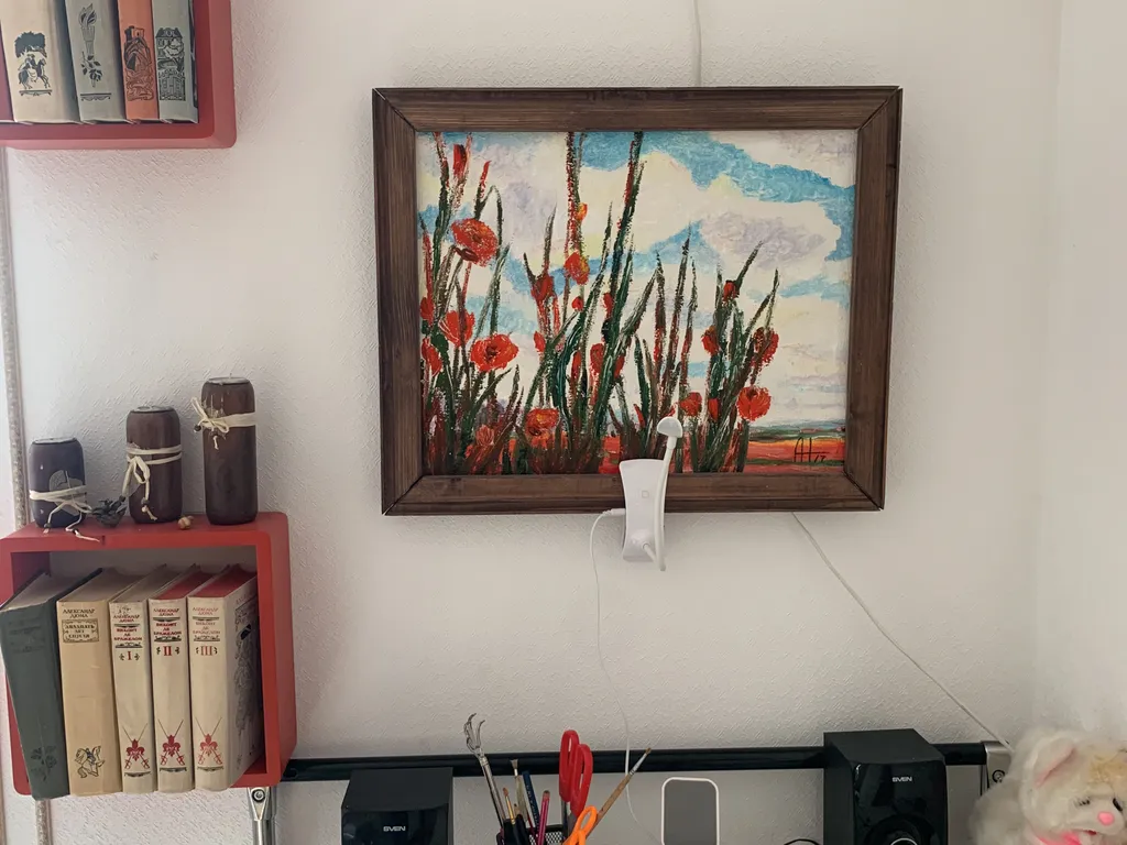 Студия мир авангарда