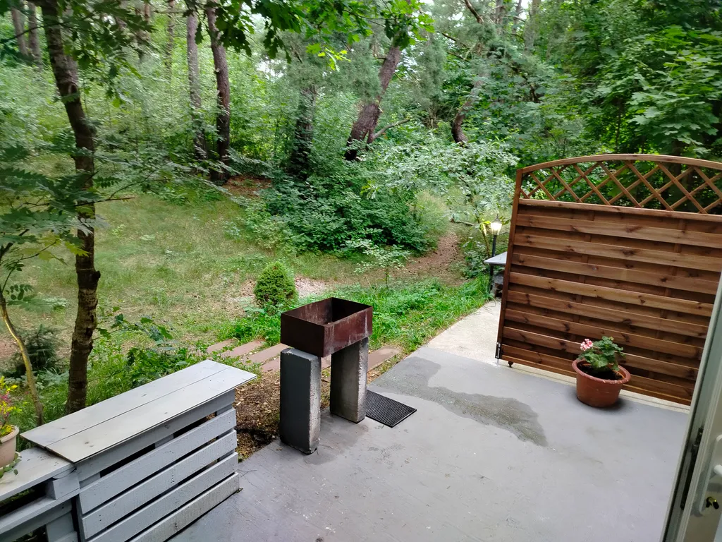 Дачка в сосновом бору