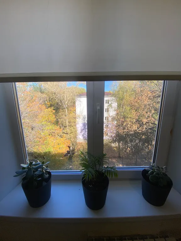 Великолепная студия рядом с парком