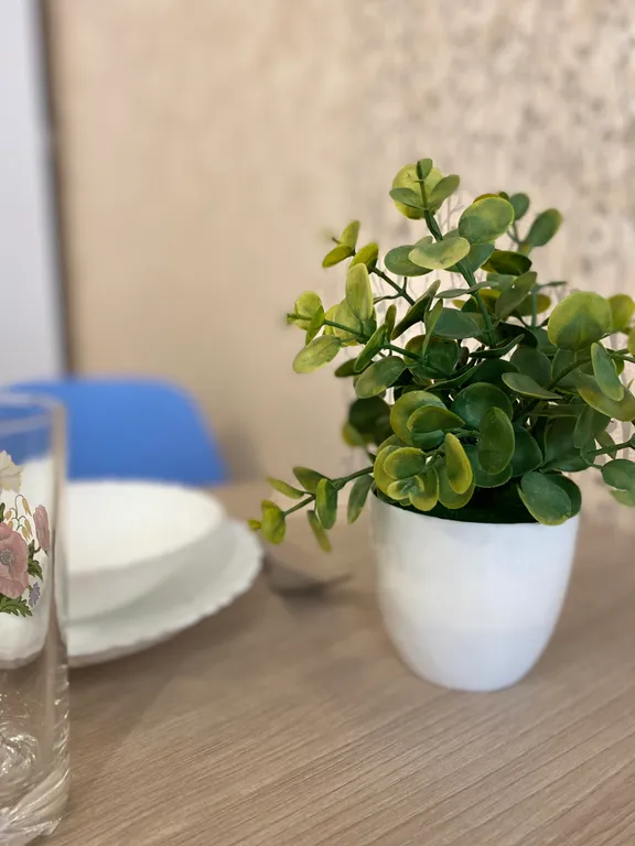 Уютная студия в центре города