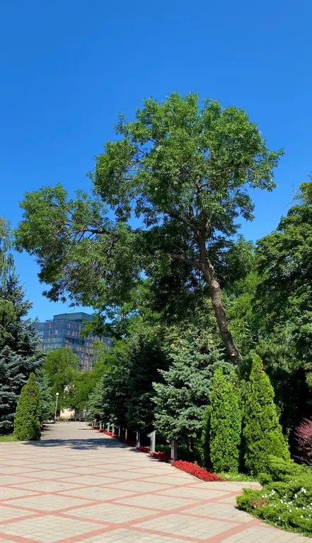 Квартира Новая двухкомнатная квартира с панорамным видом на море — Анапа