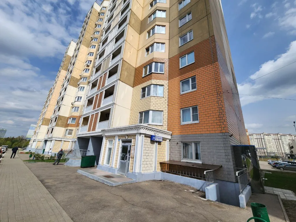 Студия с шикарным видом на лес