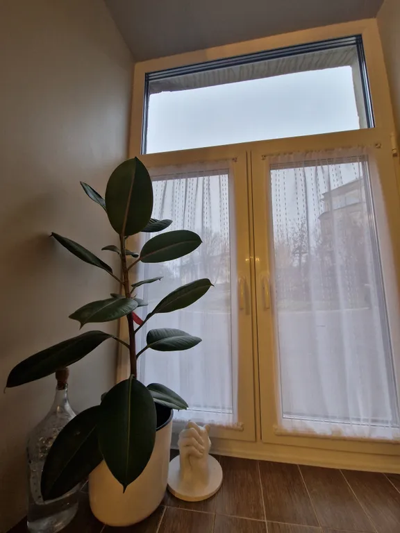 Квартира в самом центре в историческом доме