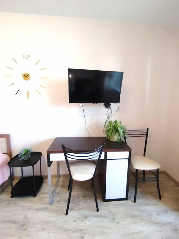 Уютная однокомнатная квартира