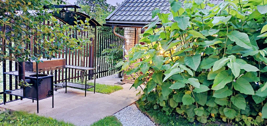 Дом Зелёный дворик