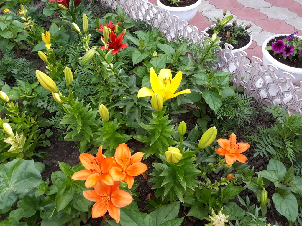 Уютный дом под ключ