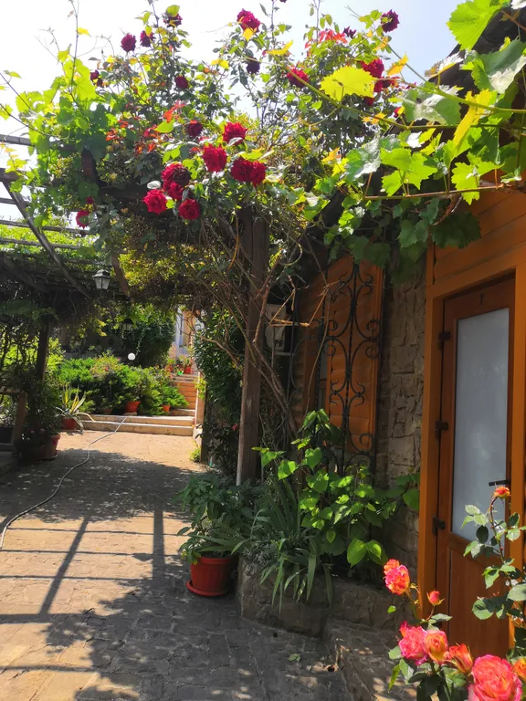 2-местная комната