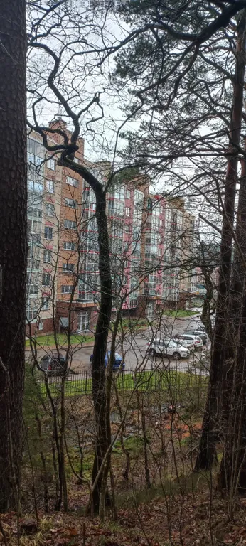 Квартира Уютная новая квартира у озера — Светлогорск