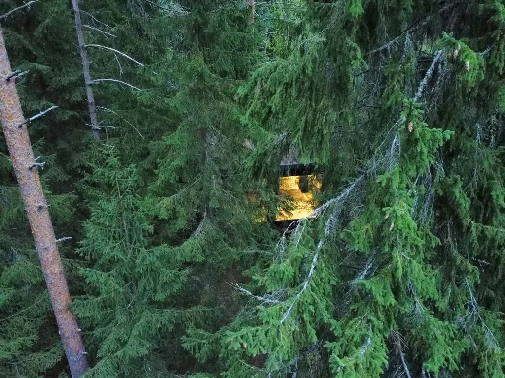 Коттедж комфорт класса с видом на лес