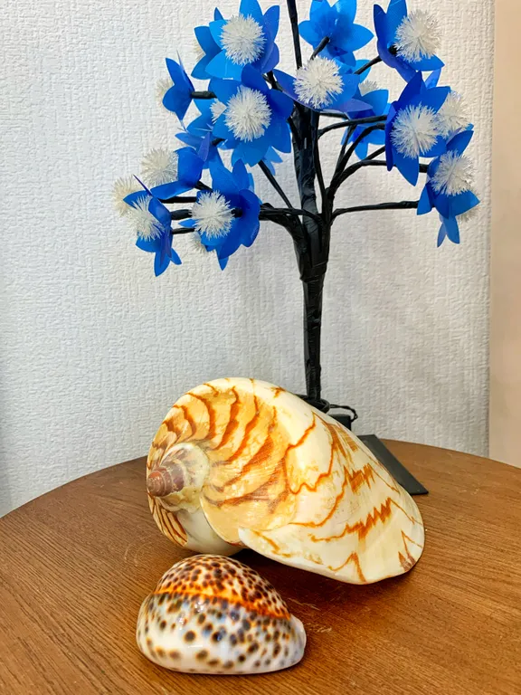 Уютная студия с отличной локацией