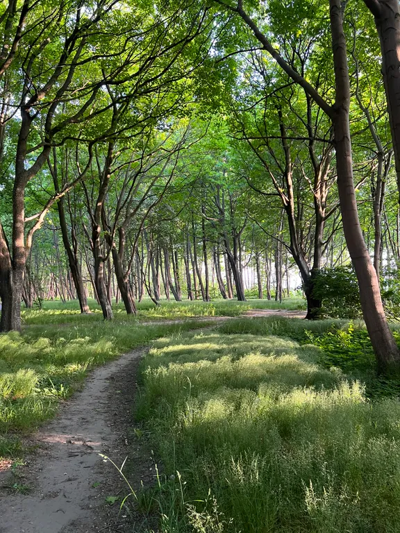 Апартаменты на первой береговой линии с боковым видом на море