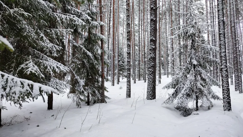 Коттедж Новый дом у озера с бесплатным бильярдом, рядом с турбазой Чайка — Ланино