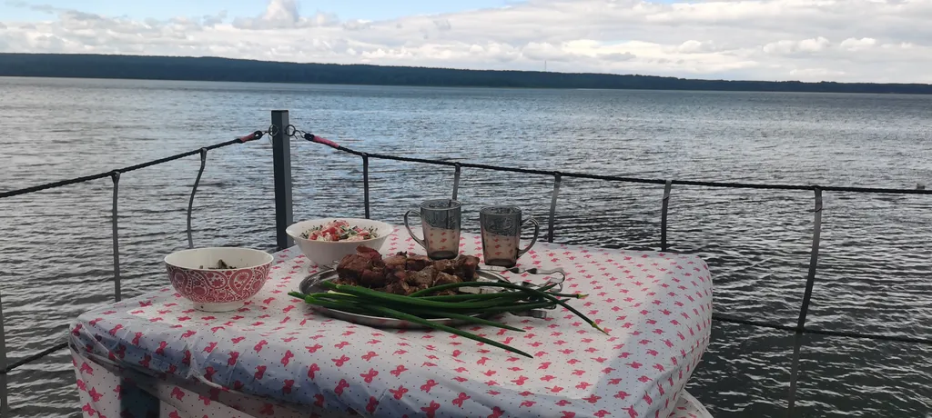 Хаусбот жилой плот