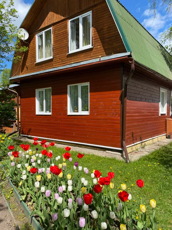 Коттедж Лукоморье