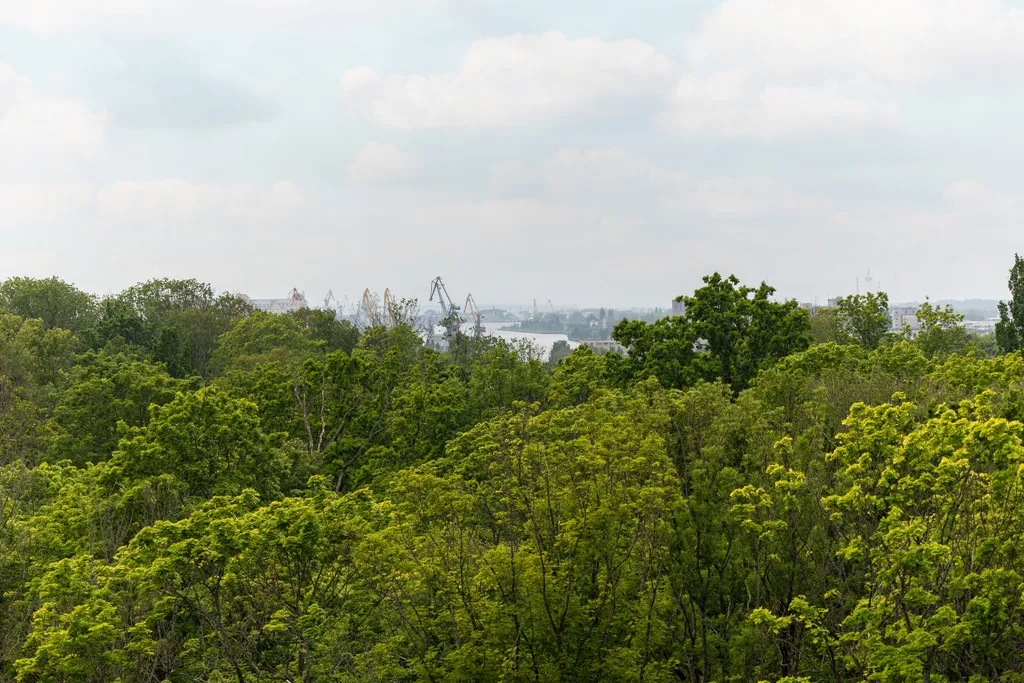 Квартира Fresh world apartments квартира с видом на парк в центре города — Калининград