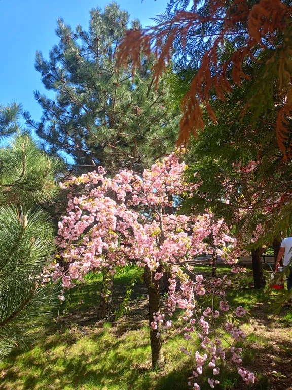 Апартаменты Вояж