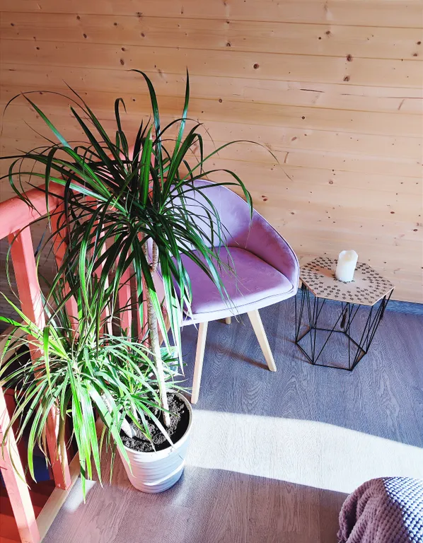 Наш Шалаш - афрейм-дача напрокат с баней и купелью