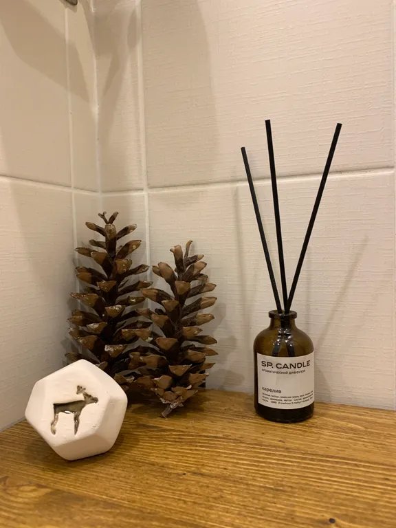 Квартира для вашего отдыха в Карелии