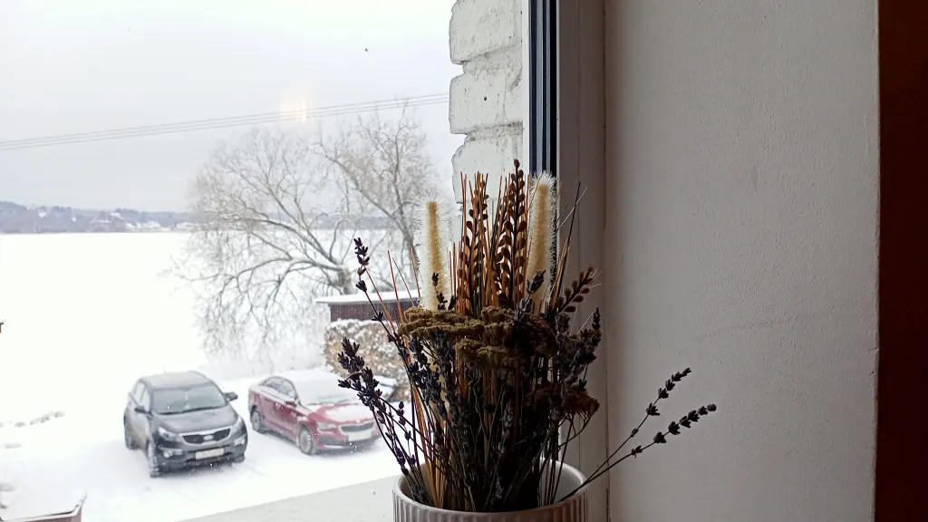 Квартира с видом на берег озера с лебедями, в историческом центре