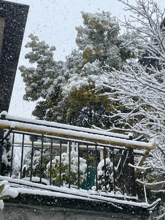 Уютная студия в тихом и живописном месте с прекрасным воздухом