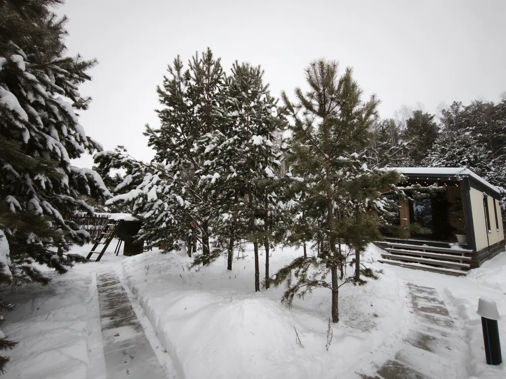 Светлый домик на опушке леса