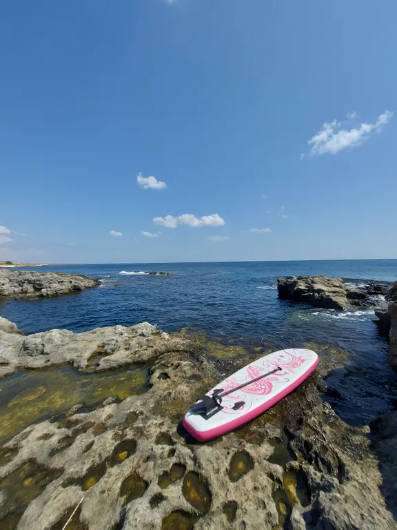 Студия с террасой