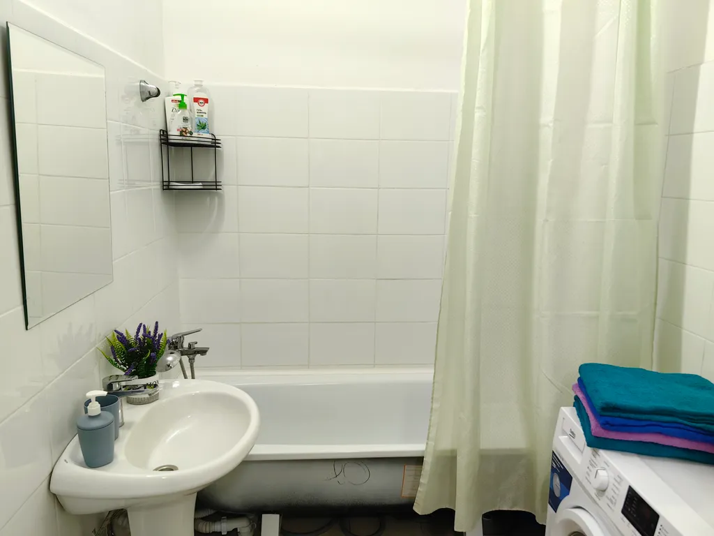 Евро Двушка Стильные Звери