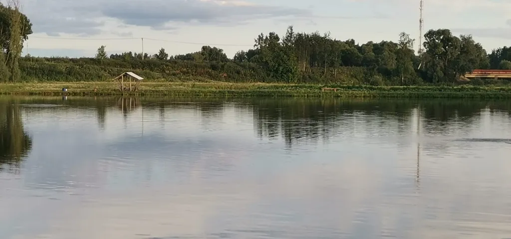 Уютный дом № 1