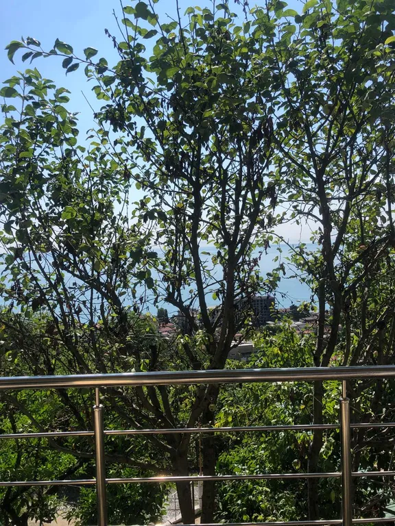 4-х местный номер с видом на море в центре