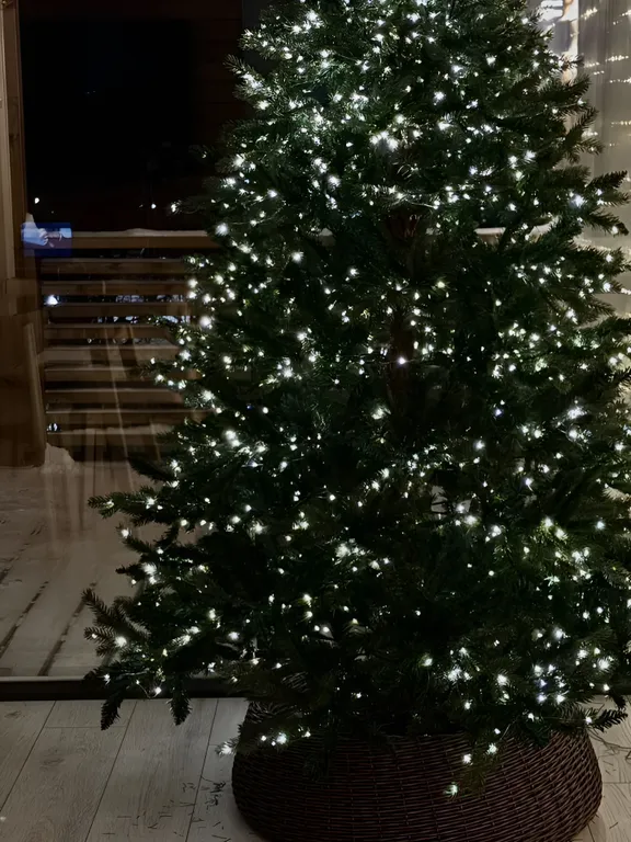 Частный дом ИГМА Сосновские горки 8-местный