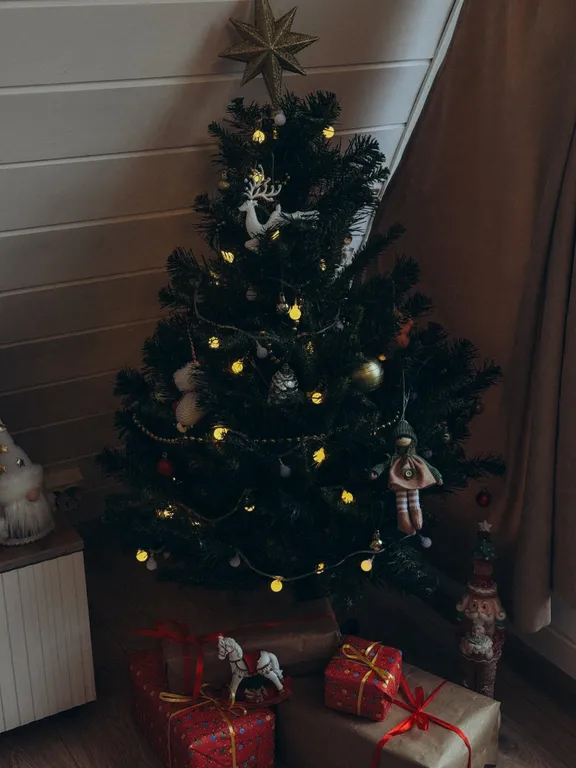 Дом с видом на лес