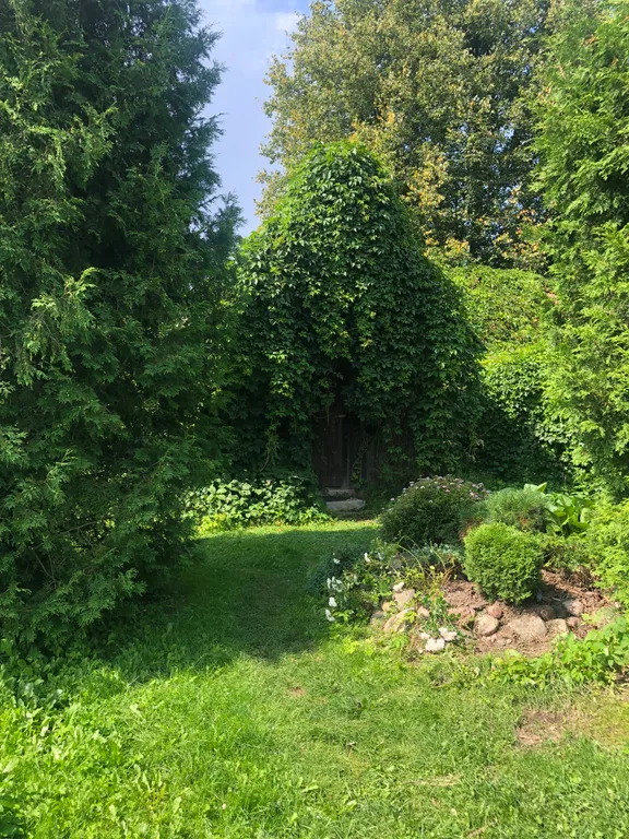 Маленький дом увитый виноградом