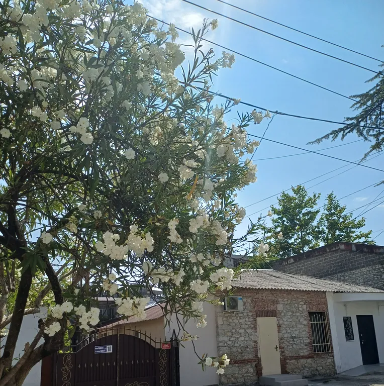 Коттедж Новый апарт-домик с выходом на уютный балкон в 5 минутах от моря — Сухум