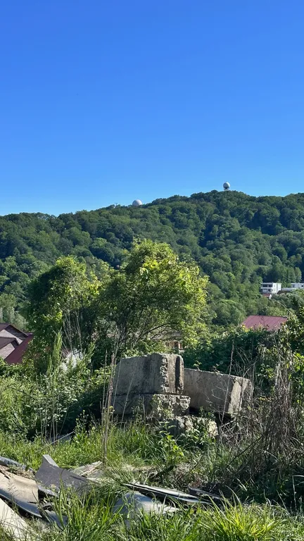 Коттедж Дом в лесу с баней и бассейном — Веселое