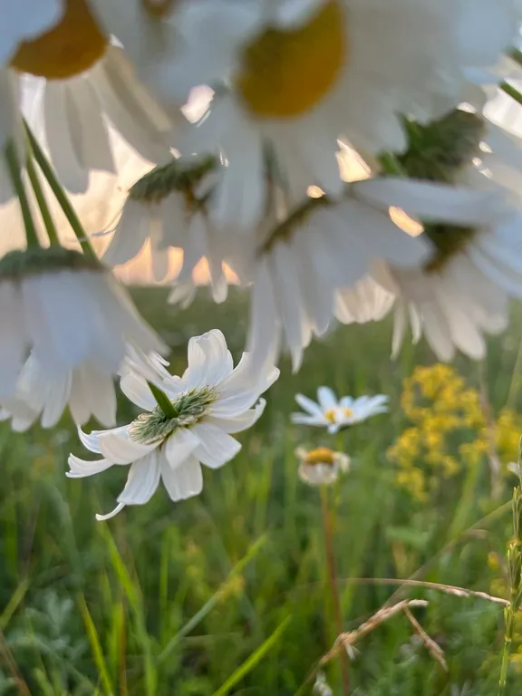 Коттедж Дизайнерский Барнхаус в природе Адыгеи — Новосвободная