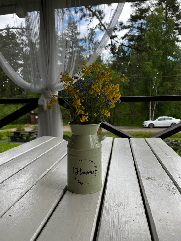 Хутор Медовое на Ладожском озере