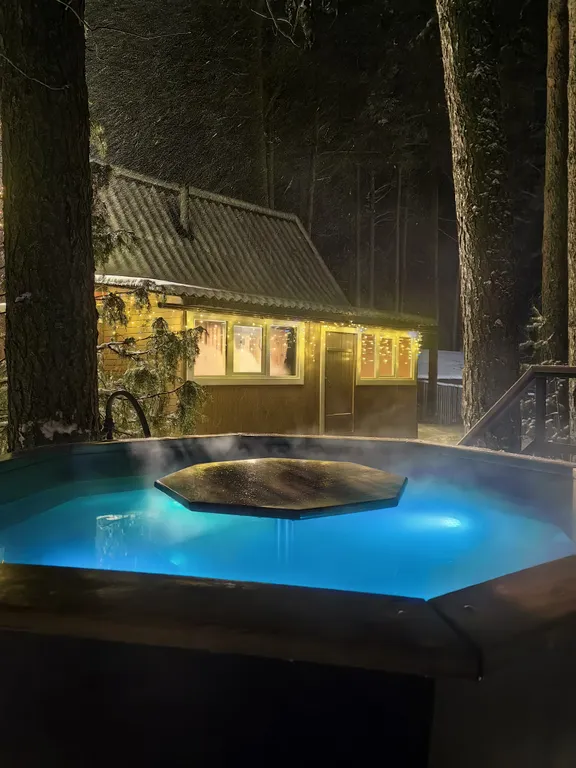 Коттедж Дом у озера с баней, чаном и детской площадкой с батутом. — Ланино