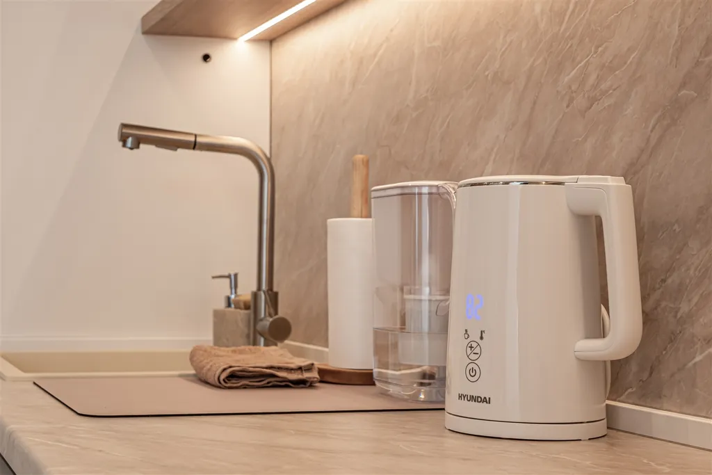 Уникальная квартира Реномэ