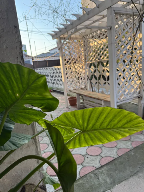 Дом под ключ в самом лучшем районе Сухума