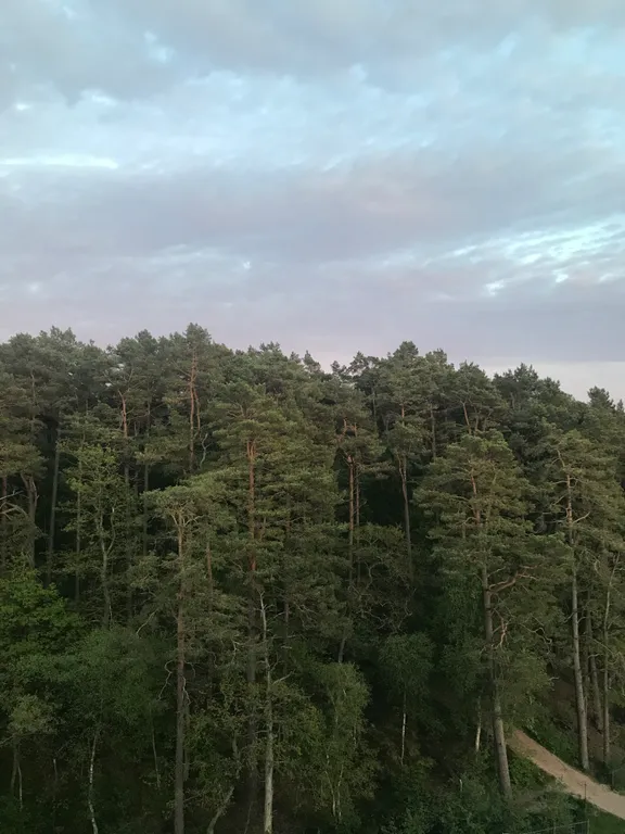 Lake-City apartments