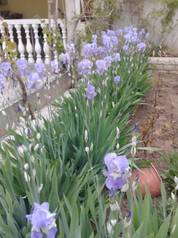 Отдых в Евпатории,  в частном секторе.