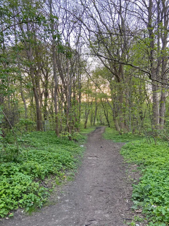 Уютный домик у моря.