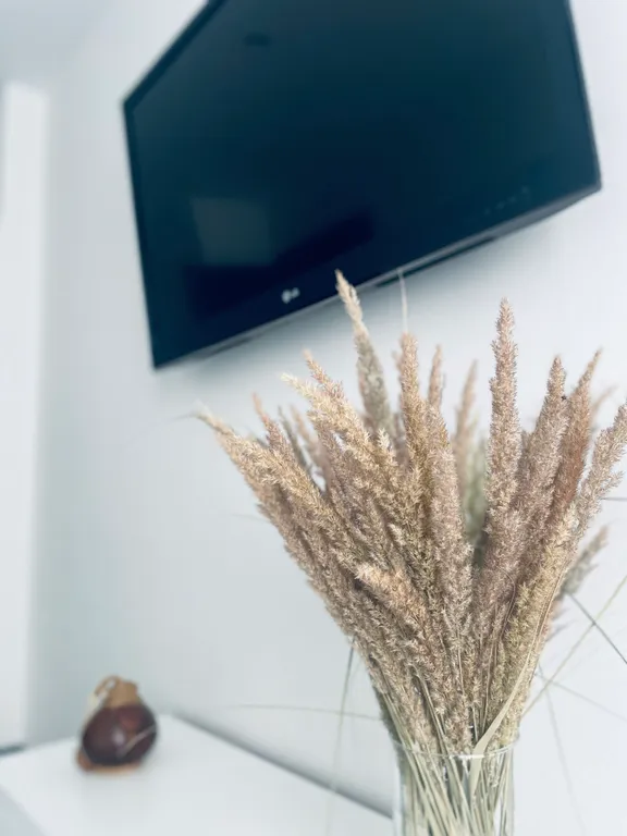 Уютная современная квартира рядом с рекой великая