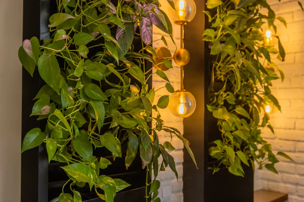 Видовые апартаменты Аквамарин