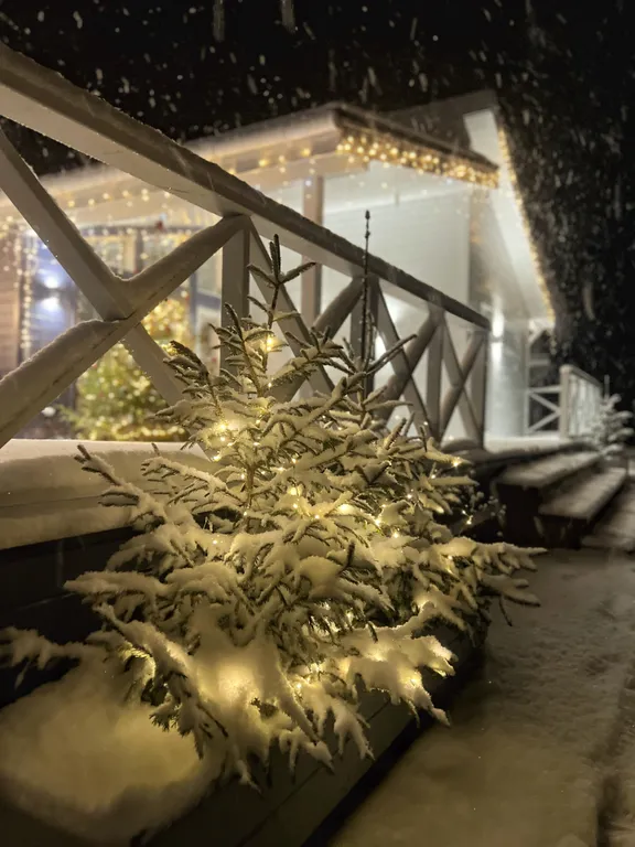 Дом на берегу лесного озера