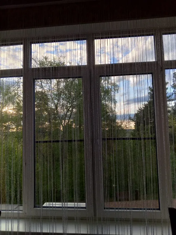 Апартаменты в сосновом лесу