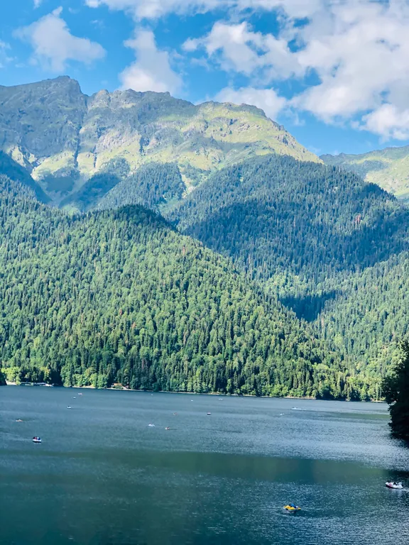 Квартира Уютная квартира с видом в парк — Сириус