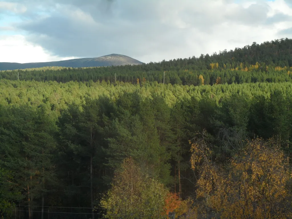 Квартира в центре города в живописном районе