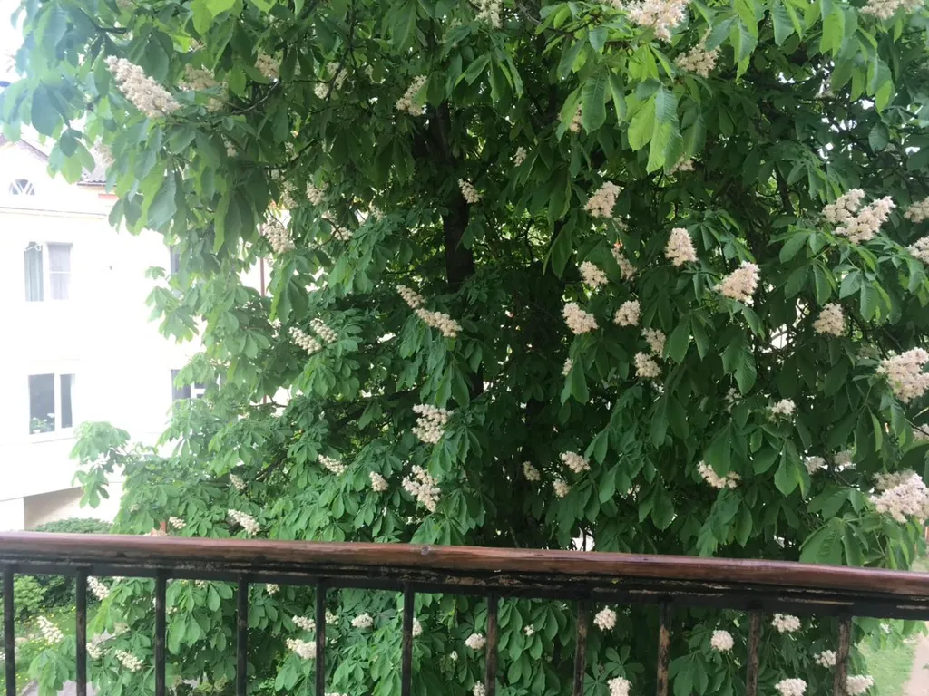 Почувствуйте атмосферу студии в самом сердце города