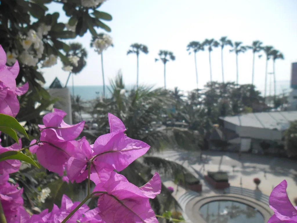 Студия с фронтальным видом на море